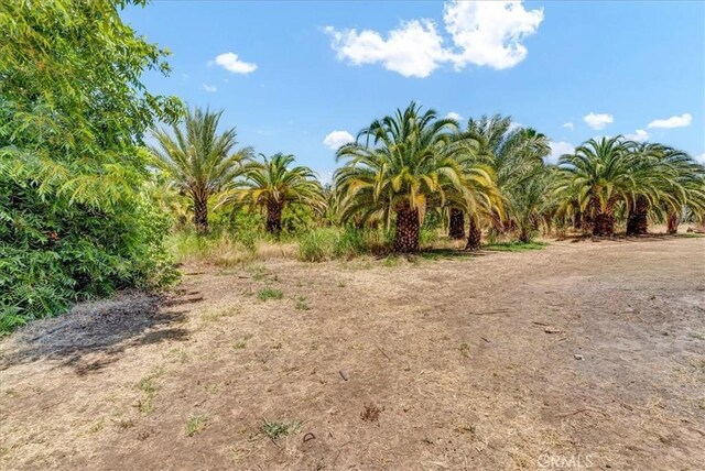 31497 Success Valley Dr, Porterville, CA 93257 - photo 53