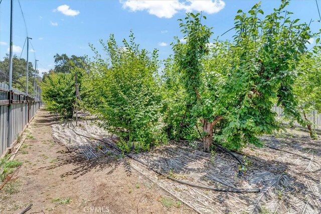31497 Success Valley Dr, Porterville, CA 93257 - photo 44