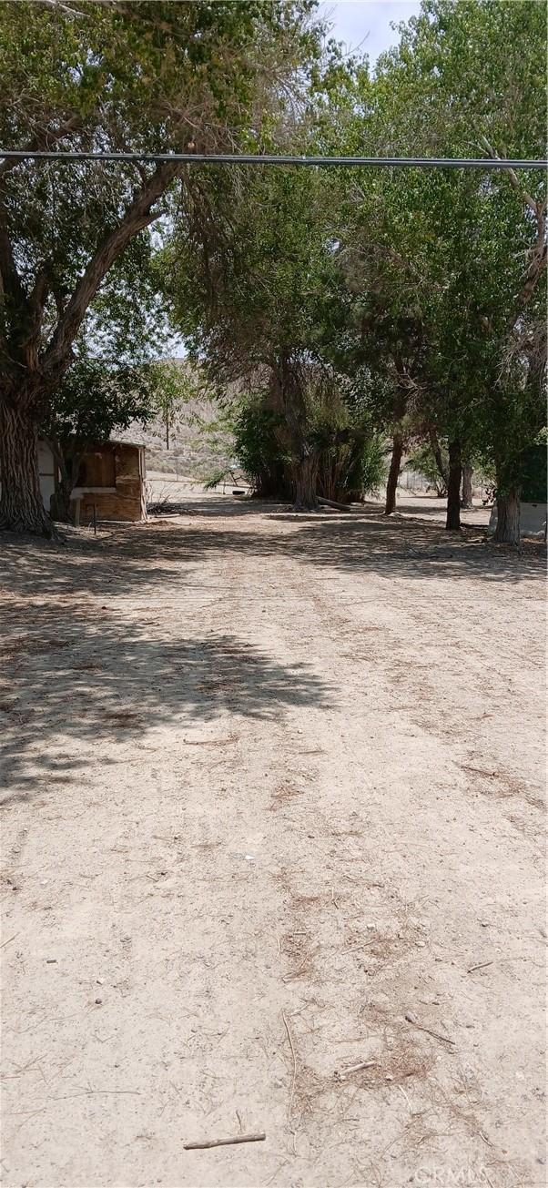 20623 National Trl, Oro Grande, CA 92368 - photo 7