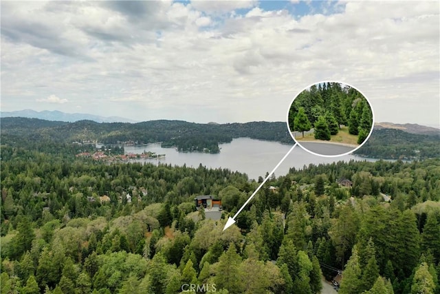 275 Ponderosa Peak Rd, Lake Arrowhead, CA 92352 - photo 1