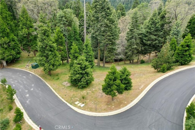 275 Ponderosa Peak Rd, Lake Arrowhead, CA 92352 - photo 3