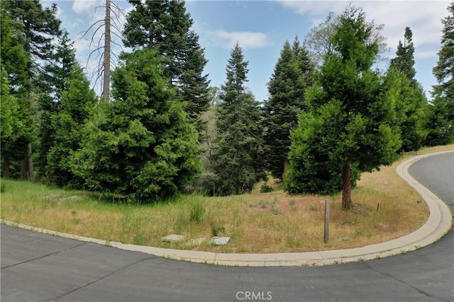 275 Ponderosa Peak Rd, Lake Arrowhead, CA 92352 - photo 4