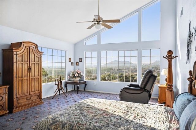 40115 Via Cordova, Temecula, CA 92592 - carpeted bedroom with multiple windows, high vaulted ceiling, and a ceiling fan
