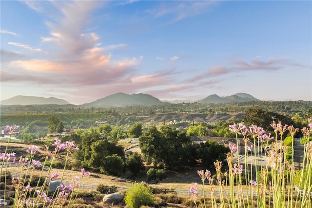40115 Via Cordova, Temecula, CA 92592 - mountain view