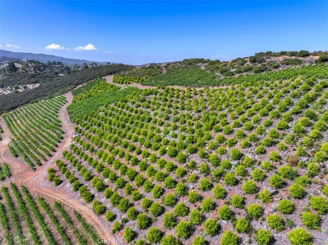 0 Via Herradura, Murrieta, CA 92562 - photo 10