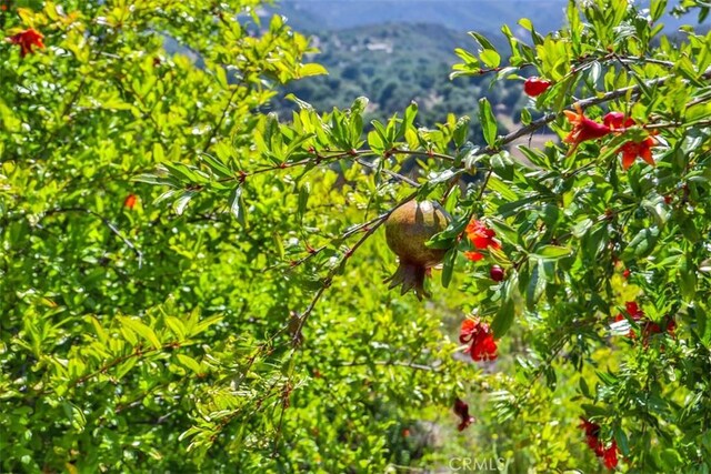 0 Via Herradura, Murrieta, CA 92562 - photo 4