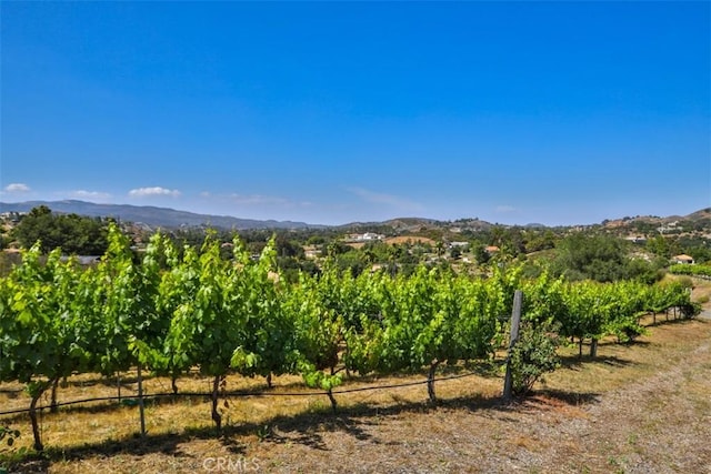 0 Via Herradura, Murrieta, CA 92562 - photo 30