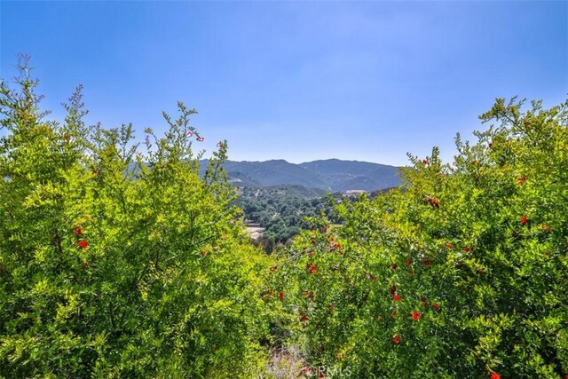 0 Via Herradura, Murrieta, CA 92562 - photo 6