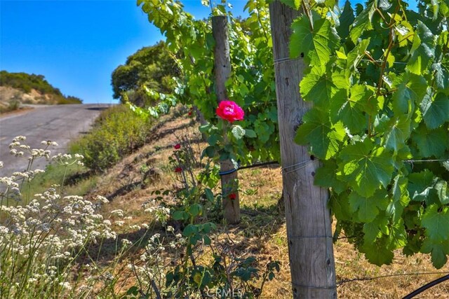 0 Via Herradura, Murrieta, CA 92562 - photo 14