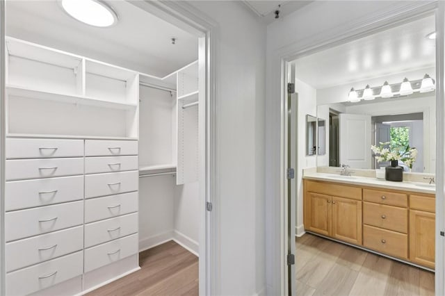 1800 Alma Ave Unit 106, Walnut Creek, CA 94596 - spacious closet featuring a sink and light wood-type flooring