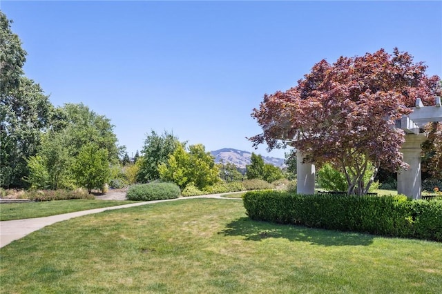 1800 Alma Ave Unit 106, Walnut Creek, CA 94596 - view of green lawn featuring a mountain view