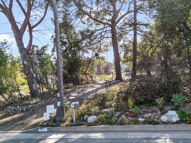 2651 Tanoble Dr, Altadena, CA 91001 - photo 1