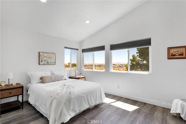 12725 Sundown Rd, Victorville, CA 92392 - bedroom with wood finished floors, high vaulted ceiling, and recessed lighting