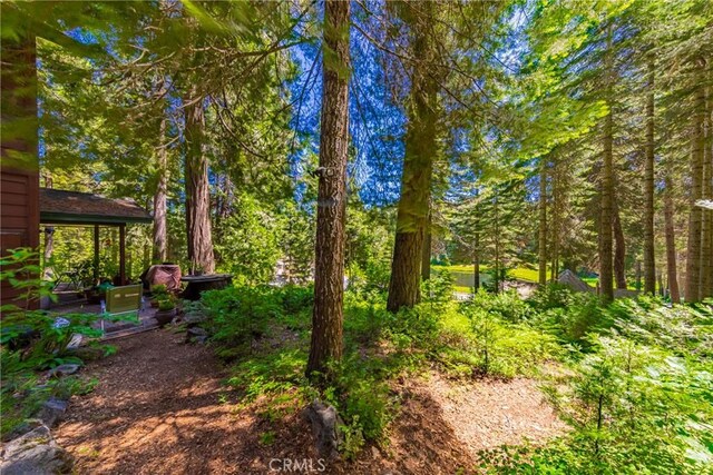 1174 Railroad Ln, Fish Camp, CA 93623 - photo 27
