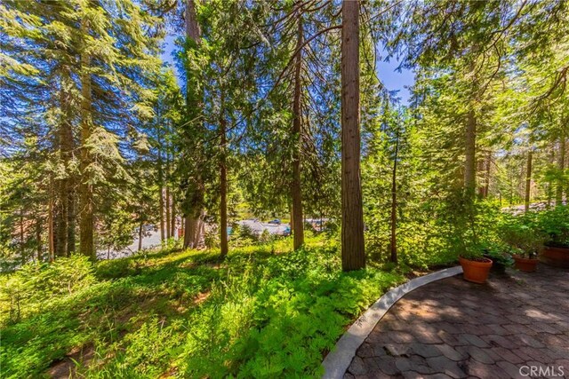 1174 Railroad Ln, Fish Camp, CA 93623 - photo 24