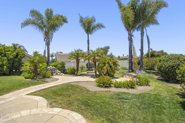 2085 Koala Pl, Oxnard, CA 93036 - view of home's community featuring a yard