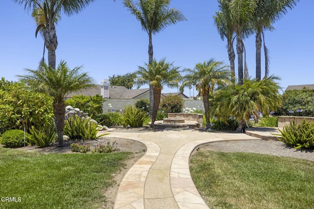 2085 Koala Pl, Oxnard, CA 93036 - view of green lawn