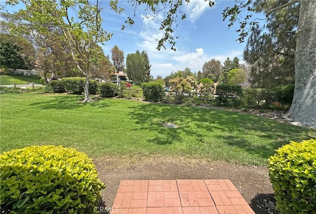 3525 Bahia Blanca W Unit B, Laguna Woods, CA 92637 - view of grassy yard