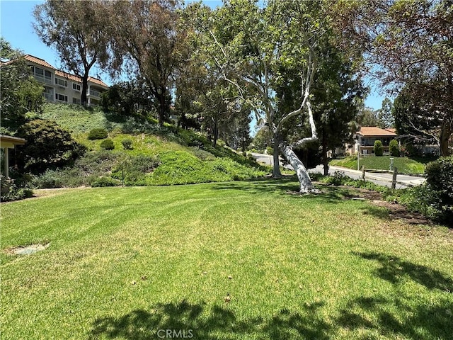 3525 Bahia Blanca W Unit B, Laguna Woods, CA 92637 - view of grassy yard