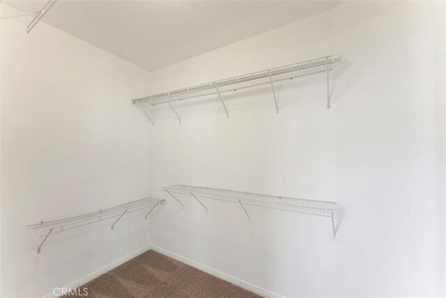 29184 Stone Ridge St, Menifee, CA 92584 - walk in closet featuring carpet flooring