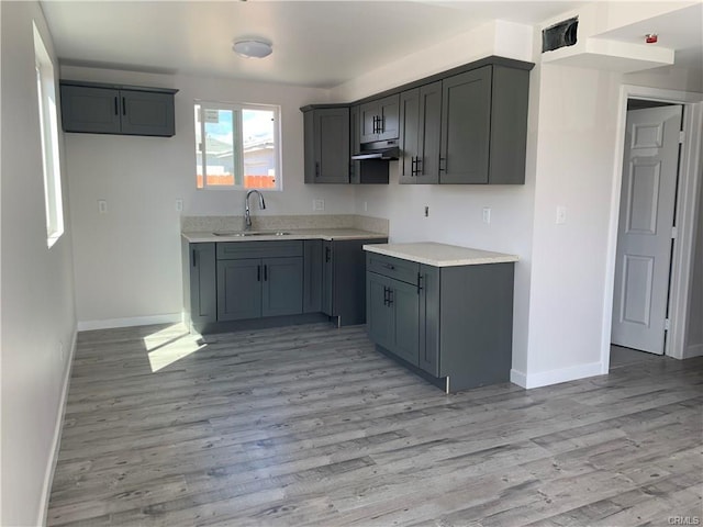 1539 112th St, Los Angeles, CA 90059 - kitchen featuring under cabinet range hood, light wood-type flooring, gray cabinetry, and light countertops