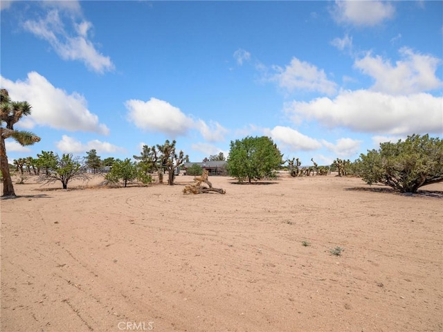 11671 Mountain Rd, Pinon Hills, CA 92372 - view of nature with rural landscape