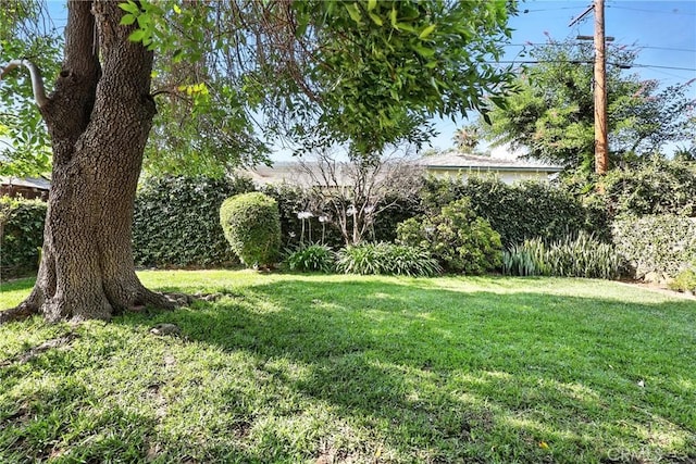 255 W Fernfield Dr, Monterey Park, CA 91754 - photo 25