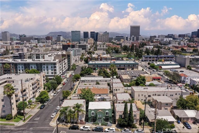 2945 W 11th St, Los Angeles, CA 90006 - view of city