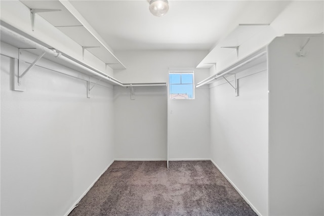 35887 Rhone Ln, Winchester, CA 92596 - walk in closet with carpet flooring