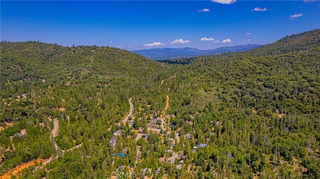 53608 Chipo Poyah, North Fork, CA 93643 - photo 56
