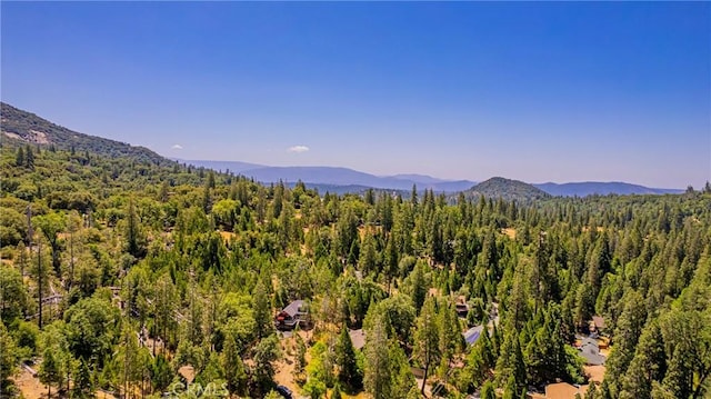 53608 Chipo Poyah, North Fork, CA 93643 - photo 61