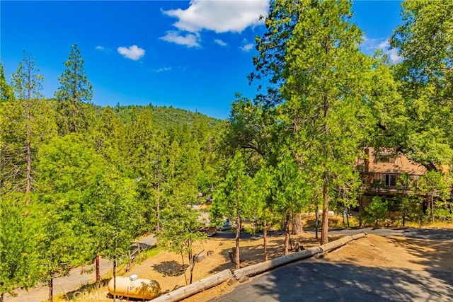 53608 Chipo Poyah, North Fork, CA 93643 - photo 36