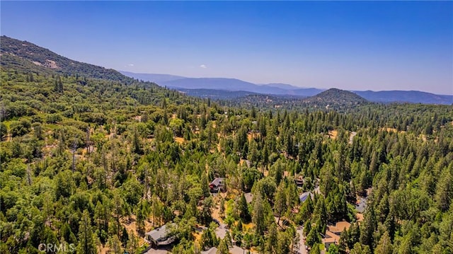 53608 Chipo Poyah, North Fork, CA 93643 - photo 57