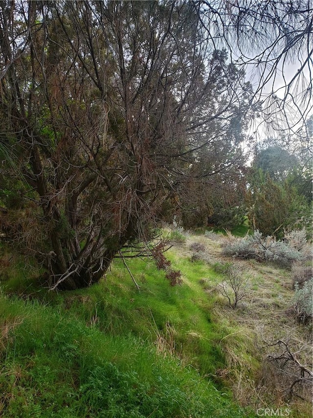 0 Brick Dr, Bodfish, CA 93205 - photo 20