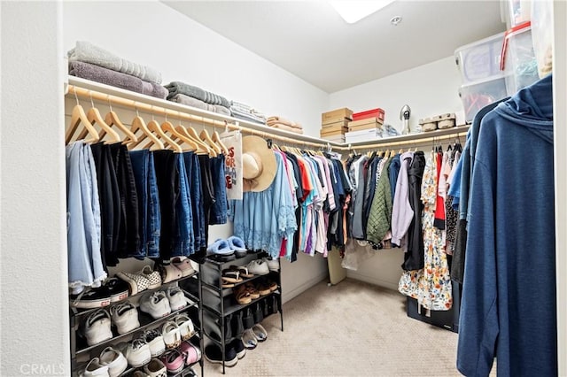 2802 Green River Rd Unit 101, Corona, CA 92882 - walk in closet featuring carpet