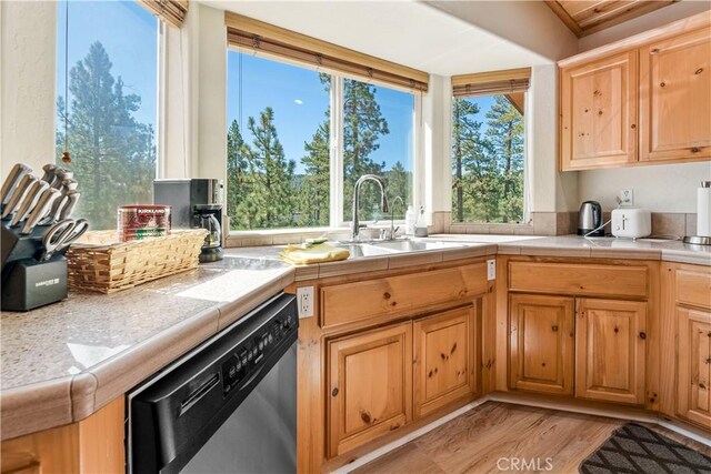 446 Shady Ln, Big Bear Lake, CA 92315 - photo 10