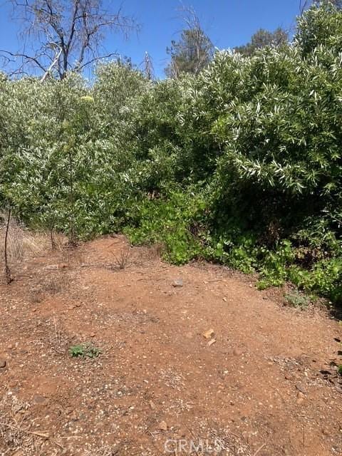 2 Wayland Rd, Paradise, CA 95969 - photo 4