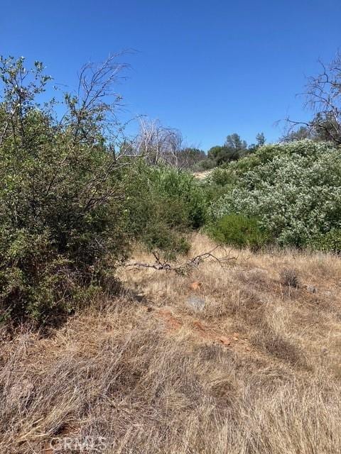 2 Wayland Rd, Paradise, CA 95969 - photo 1