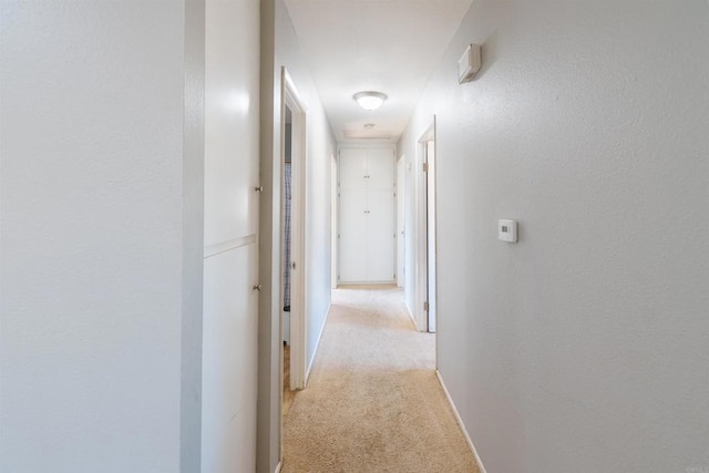 2133 Manchester Ave, Escondido, CA 92027 - corridor featuring light colored carpet and attic access