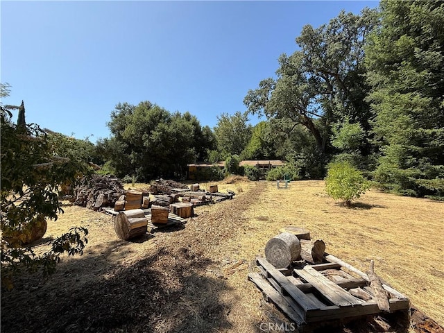 11955 Santa Lucia Rd, Atascadero, CA 93422 - view of yard