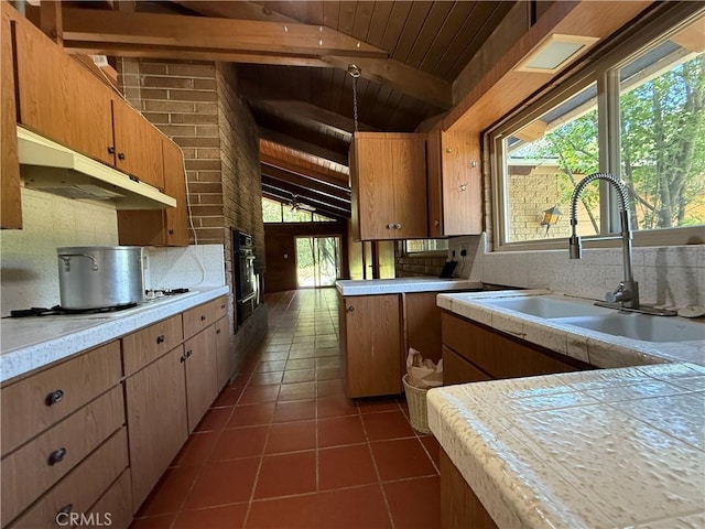 11955 Santa Lucia Rd, Atascadero, CA 93422 - kitchen with under cabinet range hood, decorative backsplash, wood ceiling, light countertops, and stovetop