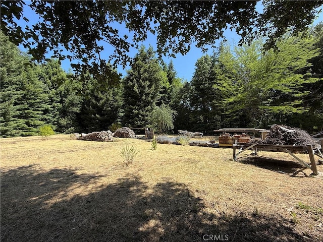 11955 Santa Lucia Rd, Atascadero, CA 93422 - view of yard