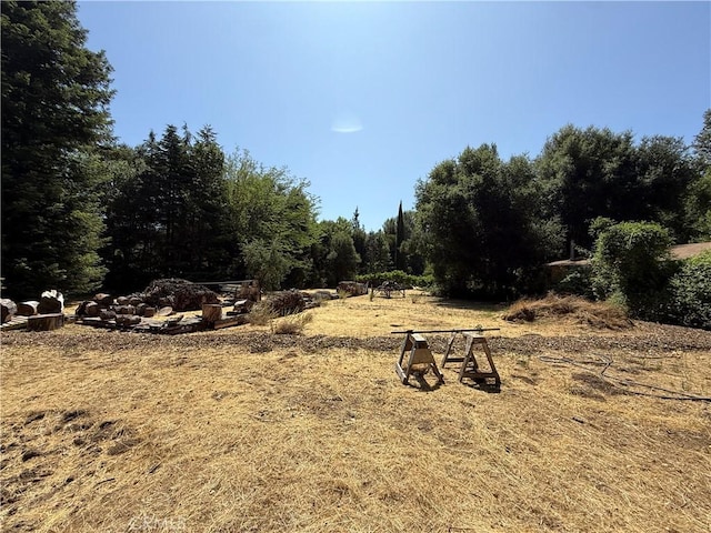 11955 Santa Lucia Rd, Atascadero, CA 93422 - view of yard