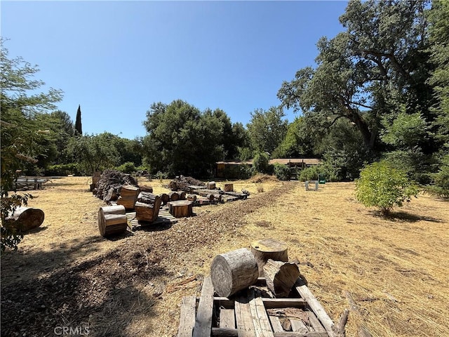 11955 Santa Lucia Rd, Atascadero, CA 93422 - view of yard