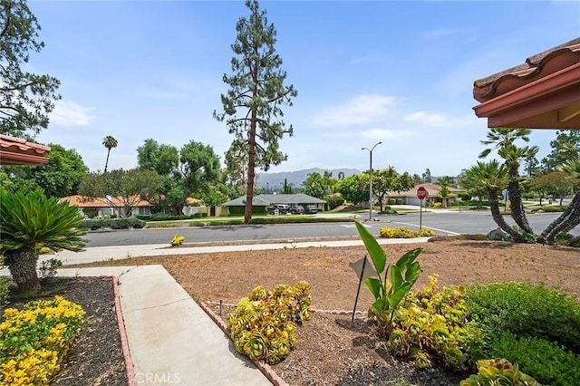 1500 Country Club Dr, Riverside, CA 92506 - view of yard with a mountain view and a residential view