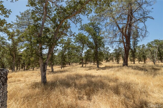 5450 Dunn Ct, Catheys Valley, CA 95306 - photo 55