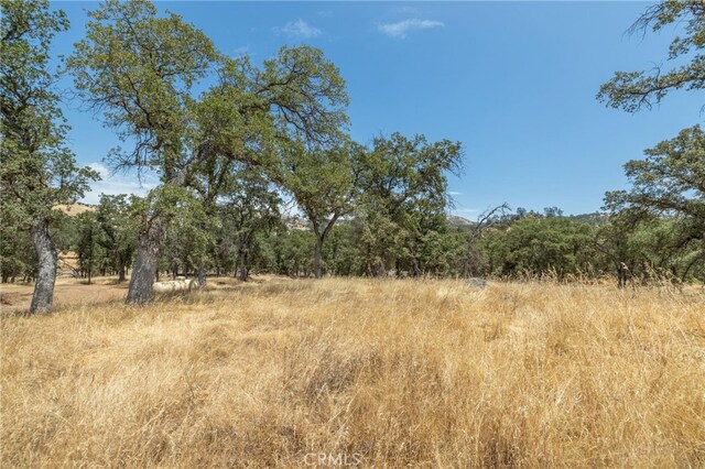 5450 Dunn Ct, Catheys Valley, CA 95306 - photo 60
