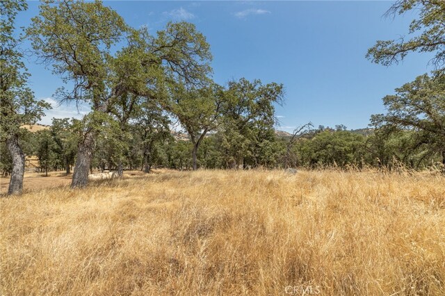 5450 Dunn Ct, Catheys Valley, CA 95306 - photo 57