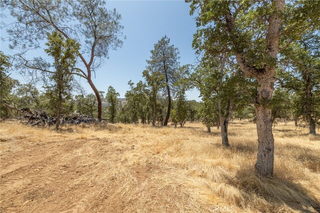 5450 Dunn Ct, Catheys Valley, CA 95306 - photo 54