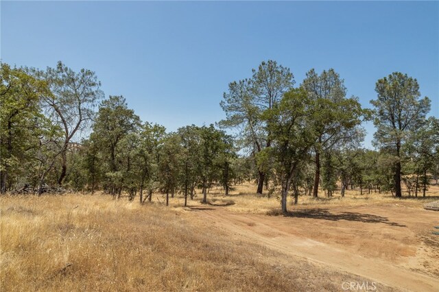 5450 Dunn Ct, Catheys Valley, CA 95306 - photo 59